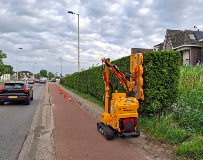 Top-snoeitechniek-3 Top-snoeitechniek-3