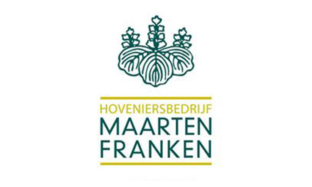 maarten-frank